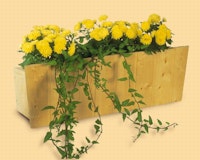 Skan Holz Blumenkasten Skan Holz BlumenkastenZubehörbild